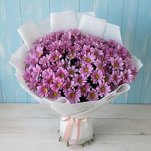 Букет цветов из:  Хризантемы в Калаче-на-Дону