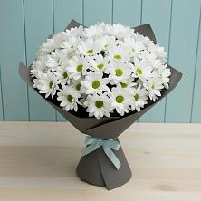 Букет цветов из:  Хризантемы в Калаче-на-Дону