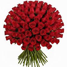 Букет Красные розы Чери Лав в Калаче-на-Дону